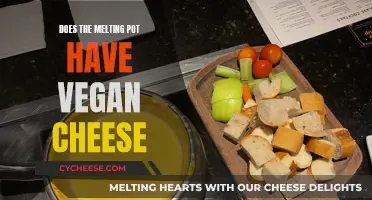 Vegan Options: The Melting Pot's Cheese Alternatives