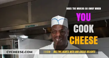 Cheese Mucus: Does Cooking Melt it Away?