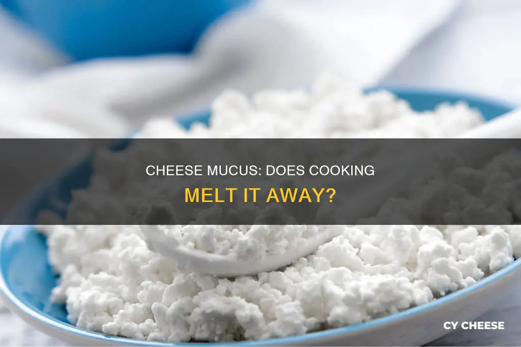 does the mucus go away when you cook cheese