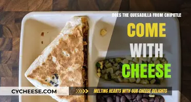 Chipotle Quesadilla Cheese Mystery: What's Really Inside?