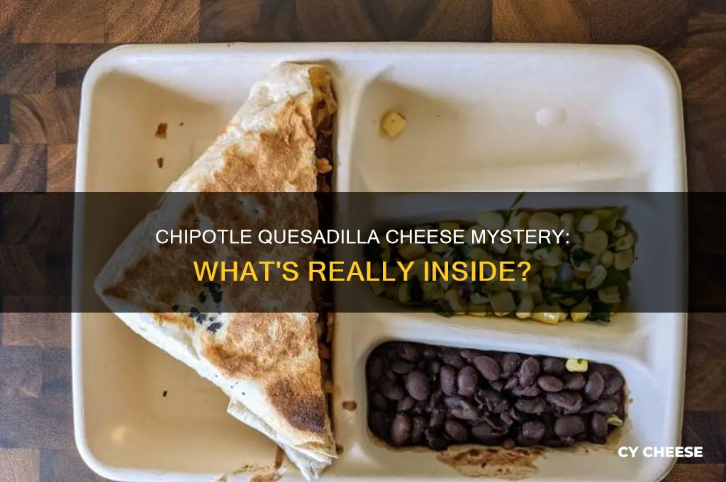 does the quesadilla from chipotle come with cheese
