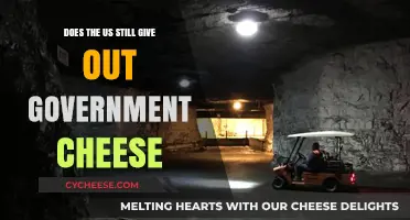 Is Government Cheese Still a Thing in the US Today?