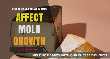 Cheese's Moldy Mystery: Unveiling the Art of Fermentation's Impact