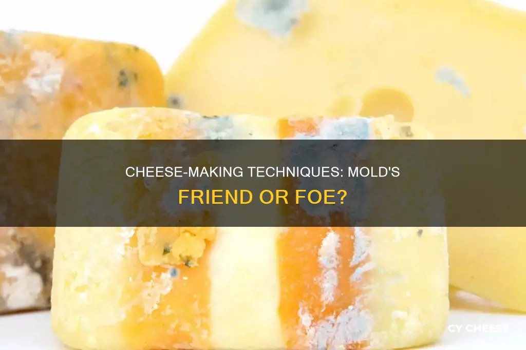 does the way a cheese is made affect mold growth