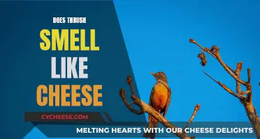 The Smell of Thrush: A Cheesy Odor