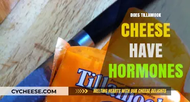 Does Tillamook Cheese Contain Hormones? Uncovering the Truth