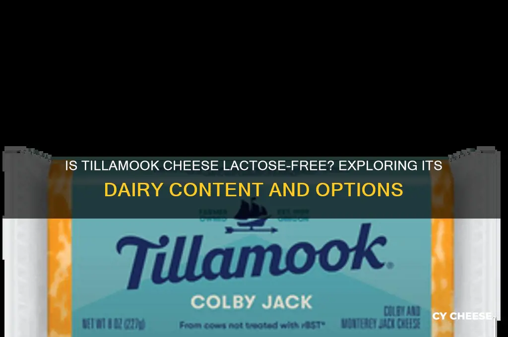 does tillamook cheese have lactose