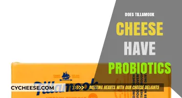 Tillamook Cheese and Probiotics: Uncovering the Truth About Gut Health