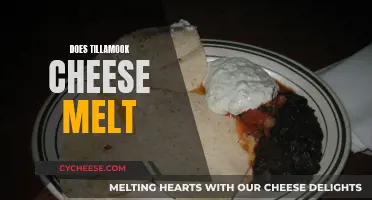The Melting Factor: Tillamook Cheese's Meltability