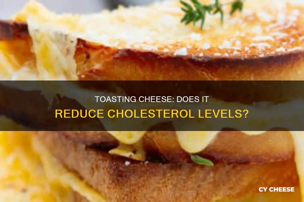 does toasting cheese remove cholesterol