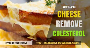 Does Toasting Cheese Reduce Cholesterol? Uncovering the Truth Behind the Myth
