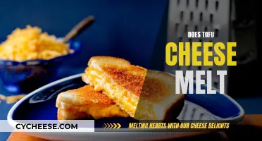 Tofu Cheese Melting: Possibilities and Taste