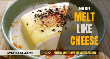 Tofu's Melting Abilities: Can It Replace Cheesy Goodness?