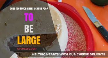 Cheese Overload: Does It Lead to Larger Bowel Movements?