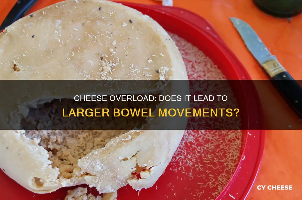 does too much cheese cause poop to be large