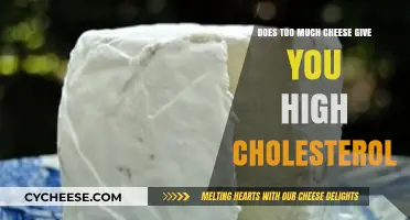 Cheese and Cholesterol: How Much is Too Much for Your Health?