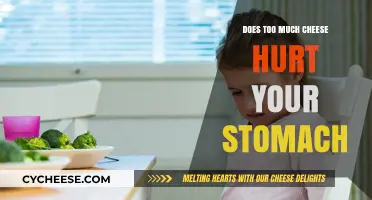 Can Cheese Cause Stomach Pain? Exploring Dairy's Digestive Impact