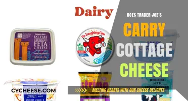 Trader Joe's Cottage Cheese: Availability and Alternatives Explored