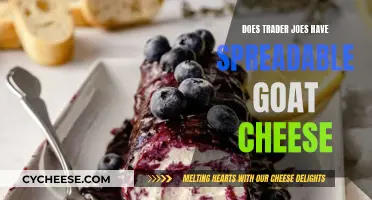 Trader Joe's Goat Cheese: Is It Spreadable?