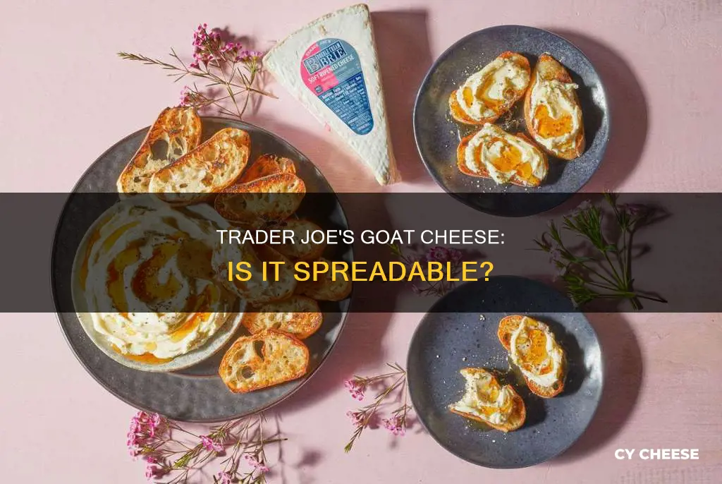 does trader joes have spreadable goat cheese