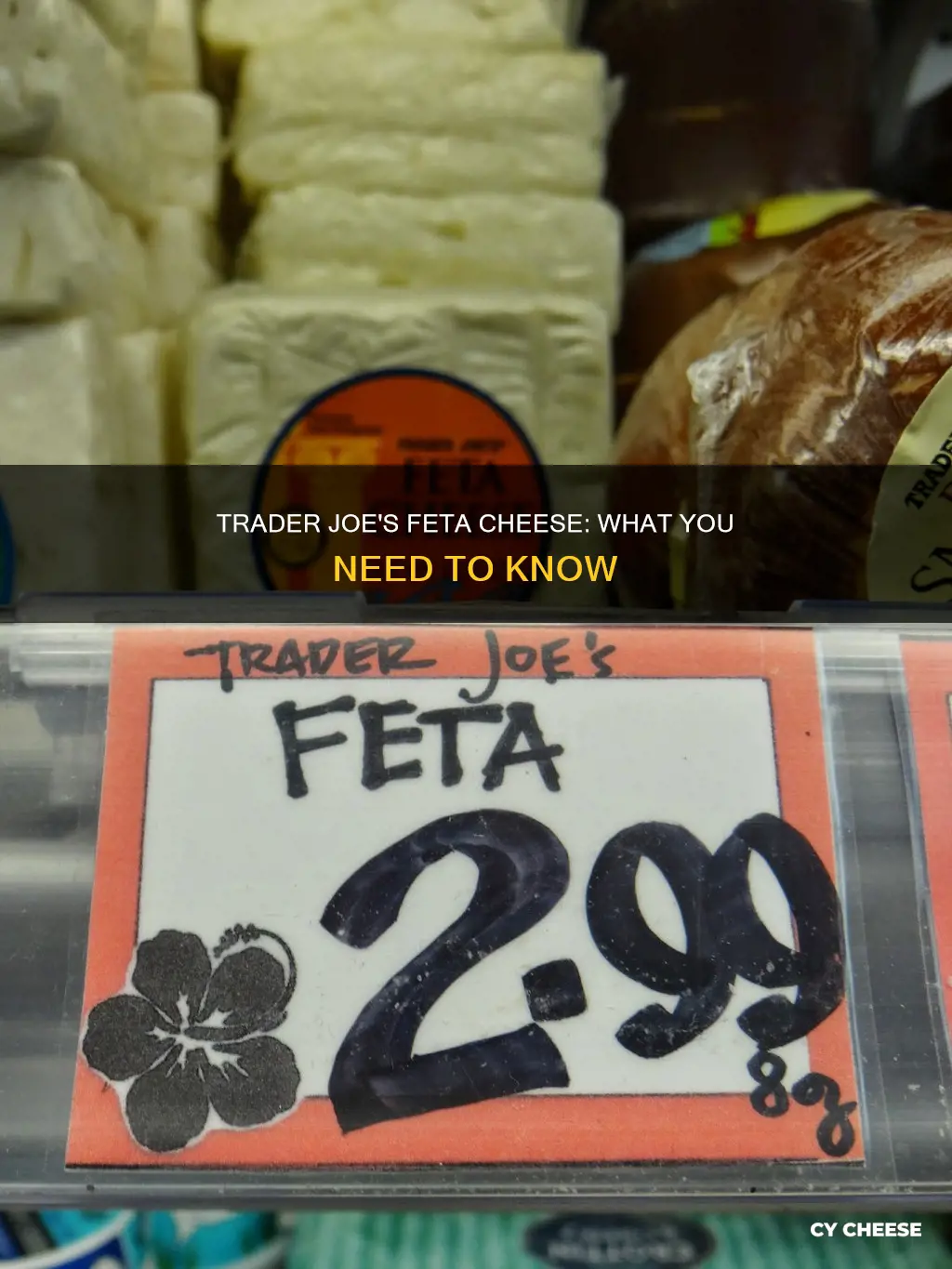 does trader joe