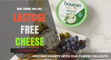 Trader Joe's Lactose-Free Cheese: What You Need to Know