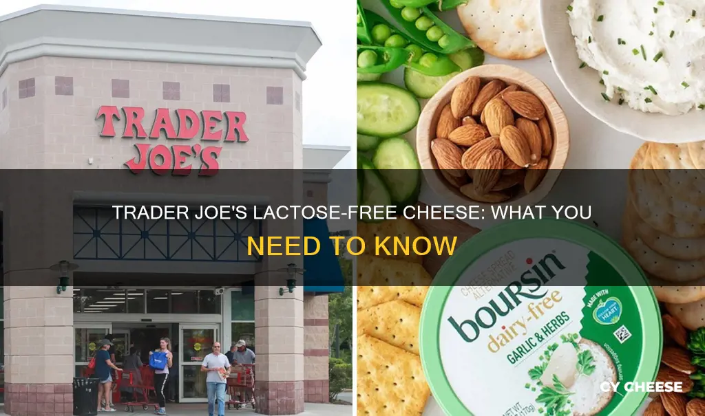 does trader joes sell lactose free cheese