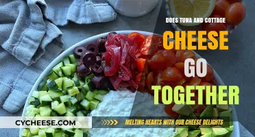 Tuna and Cottage Cheese: A Surprising Pairing or Culinary Clash?