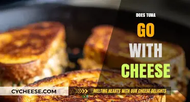 Tuna and Cheese: A Match Made in Heaven or Culinary Clash?