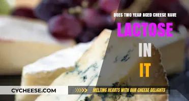 Does Aged Cheese Contain Lactose? Exploring Two-Year-Old Cheese