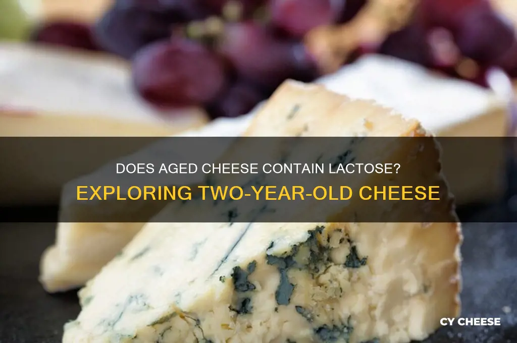 does two year aged cheese have lactose in it