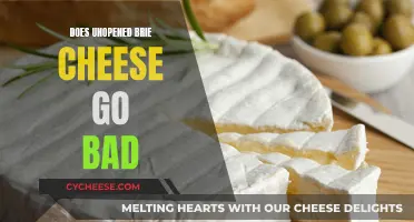 Brie Cheese Unopened: How Long Does It Last?
