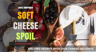 Unopened Soft Cheese: Shelf Life, Spoilage, and Storage Tips