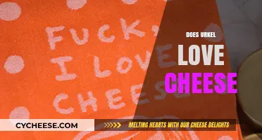 Does Urkel Love Cheese? Unraveling the Iconic Character's Culinary Preferences