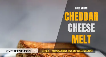 Vegan Cheddar's Melting Potential: A Tasty, Plant-Based Discovery