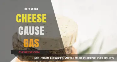 Vegan Cheese and Gas: Unraveling the Truth Behind Digestive Discomfort