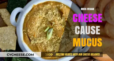 Does Vegan Cheese Cause Mucus? Separating Fact from Fiction