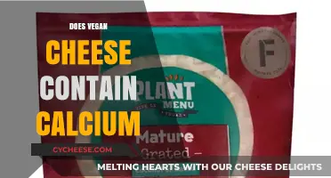 Does Vegan Cheese Contain Calcium? Uncovering Nutritional Facts and Benefits