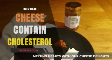Is Vegan Cheese Cholesterol-Free? Uncovering the Truth About Plant-Based Cheese