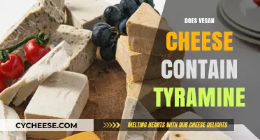 Is Tyramine in Vegan Cheese? Uncovering the Truth for Migraine Sufferers