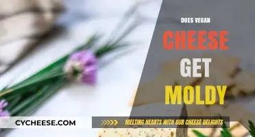 Vegan Cheese: Does It Mold?