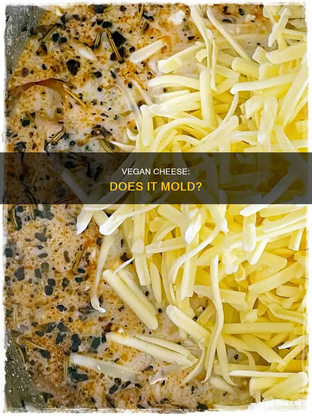 does vegan cheese get moldy