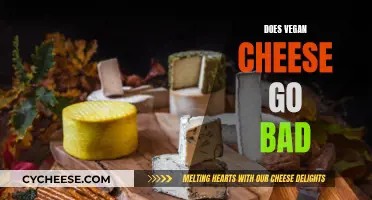 Vegan Cheese: Does It Go Bad?