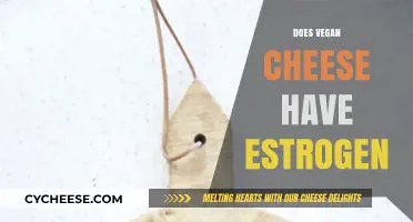 Does Vegan Cheese Contain Estrogen? Unraveling the Hormone Myth