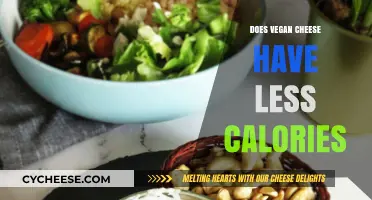 Vegan Cheese: Less Calories, More Benefits?