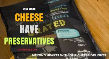 Exploring Vegan Cheese: Preservatives, Ingredients, and Health Considerations