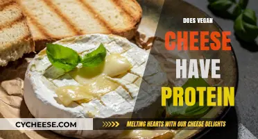 Does Vegan Cheese Have Protein? Uncovering Nutritional Facts and Benefits