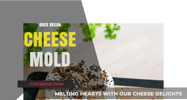 Does Vegan Cheese Mold? Understanding Shelf Life and Storage Tips