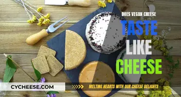 Vegan Cheese: Tasty Alternative or Not?