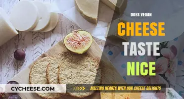 Does Vegan Cheese Taste Nice? A Honest Flavor Review
